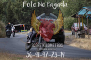 IMG-0632