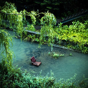 0f678f00551e33f2d30158d88ea29de7