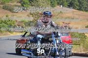 IMG-2555