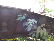 IMG-0286
