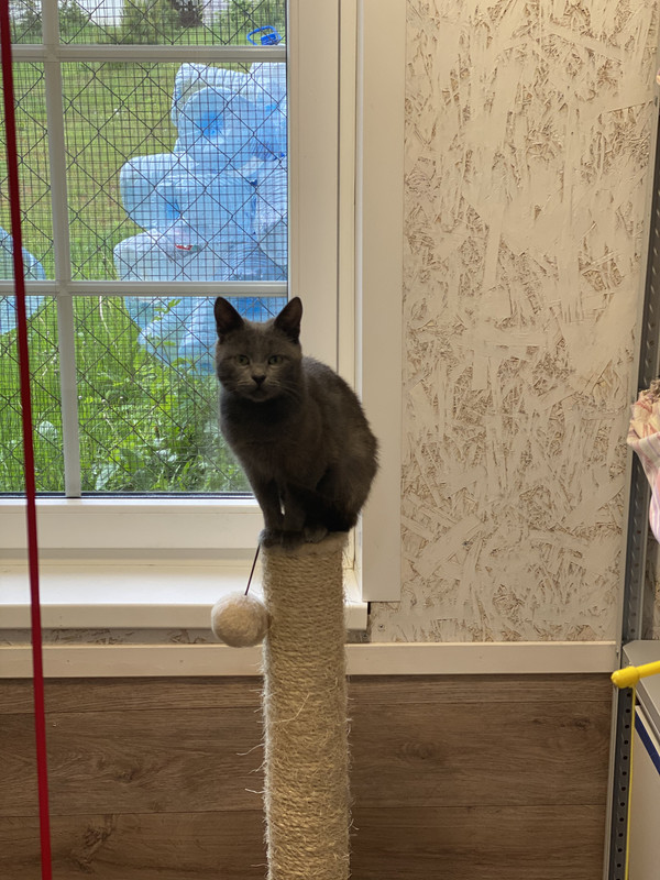 C2E9CADC-2F66-4D05-B0F9-B669FE036C43