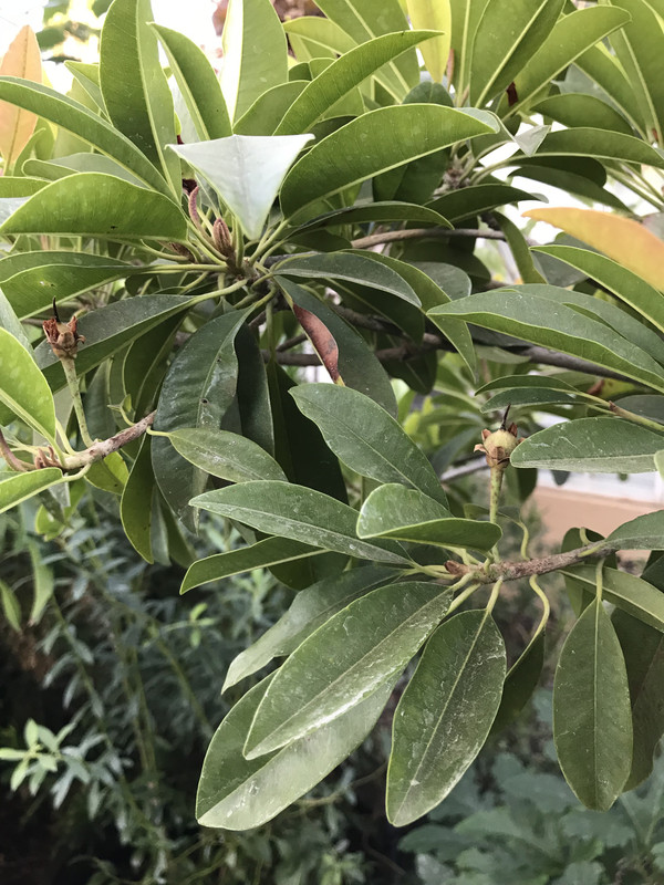 E3D85C7E-570B-4E33-91B8-C907C41FA8CC