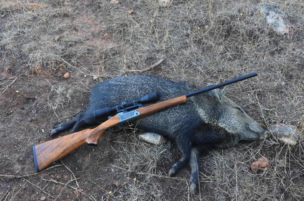 Screen Shot 2025-08-22 at 8.02.47 AM