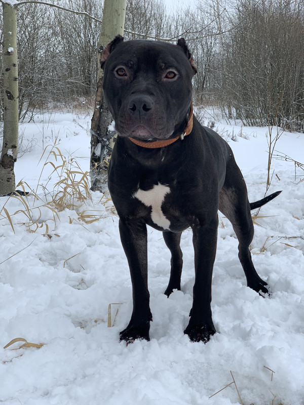 3F573C88-B582-4E46-8322-5FB908DB20CE