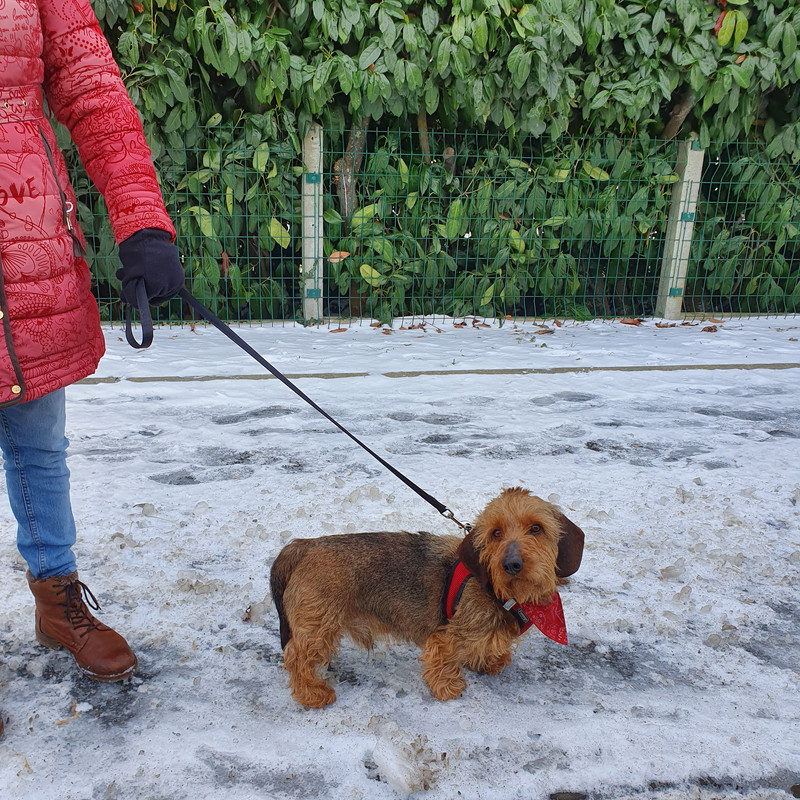 [Image: 20210213-145353.jpg]