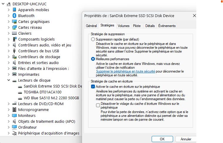 Capture d écran stratégie ptés disk externe 2026 01 01 115824