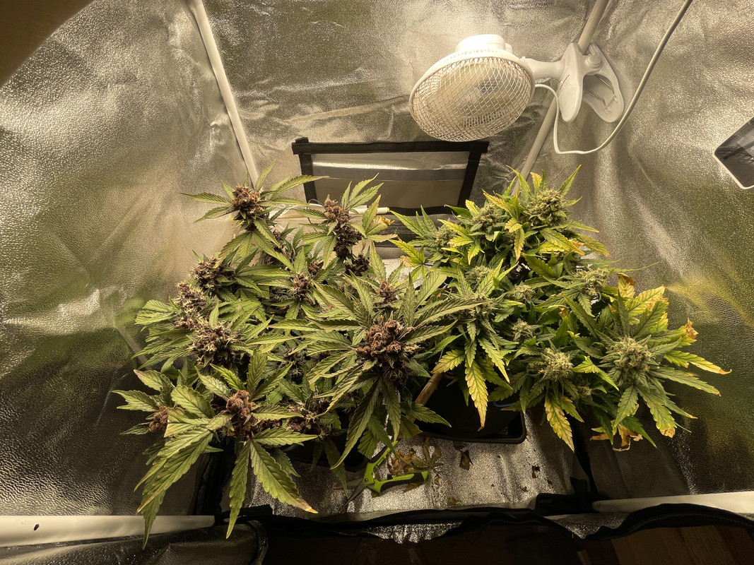 71AC45BE-CB04-4D34-BC41-29C29C4B3356