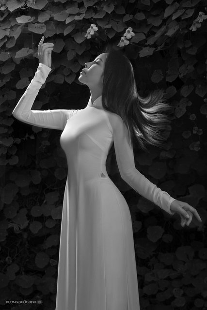 [Image: 0083a4316dec6d2e43b35d081f304744.jpg]