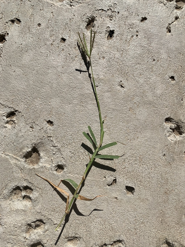 EE8BCD6B-7A54-4236-90C9-49CECD7DE0B4