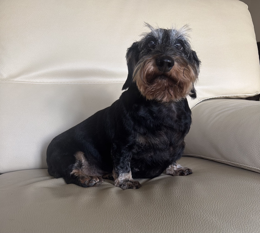 [Image: IMG-20251102-142353.avif]