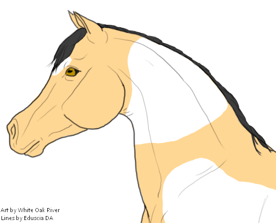Horse-4.png