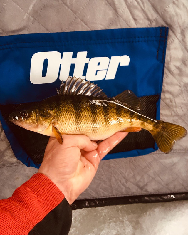 D21CCC11-7BD5-4CD5-8747-20FDC8355D09