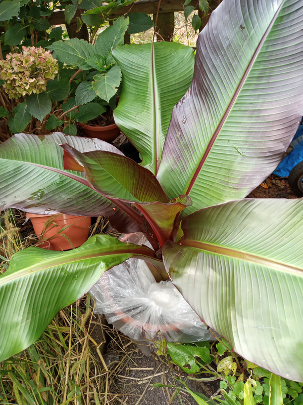 [Image: 20201023-141526.jpg]