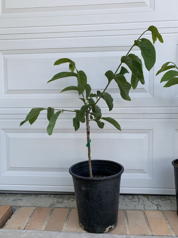 59248969-ECFF-4372-A958-52E3BD7C26B8