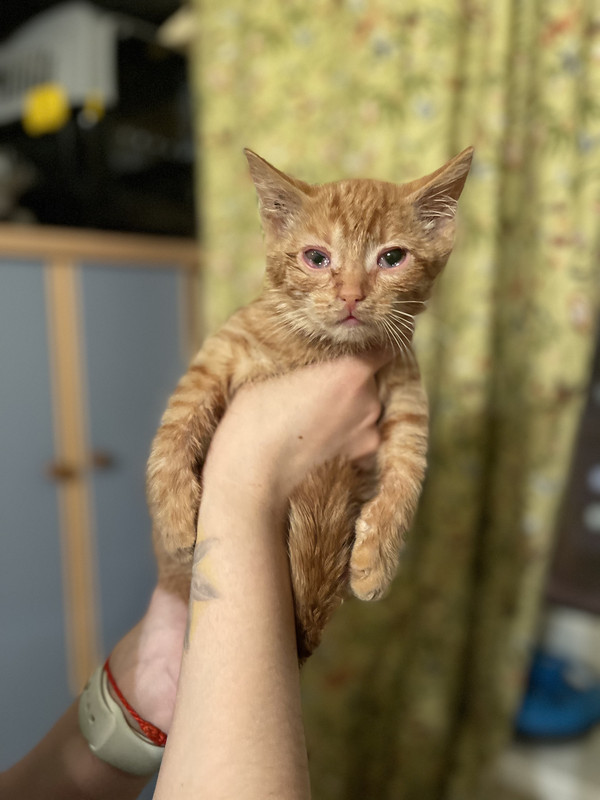 3BDFD12F-BA6A-4001-A813-E4E05CD24D8E