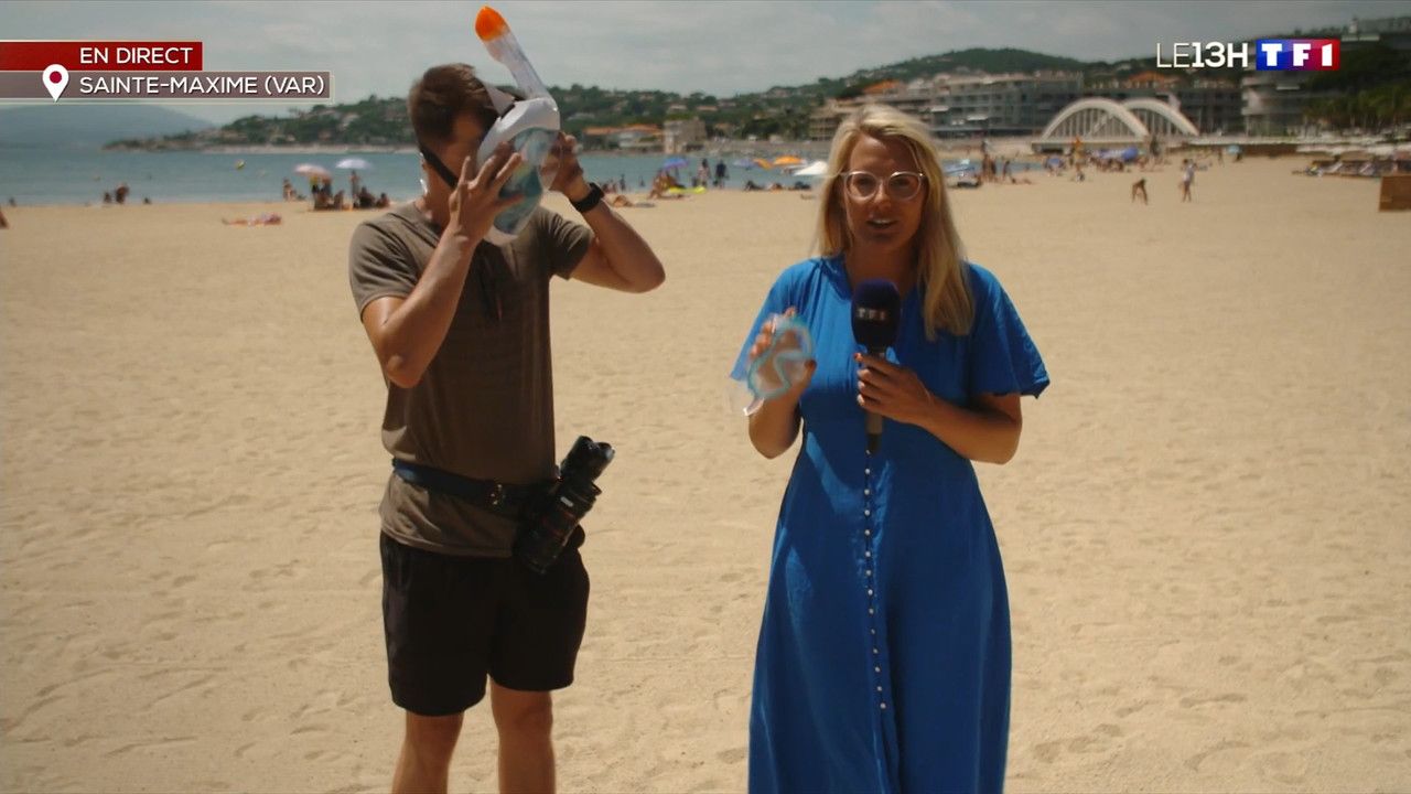 2022-07-12_13_00_TF1_Le-13h.mp4_snapshot_00.38.32.282