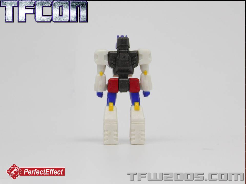 TFCon-USA-2015-314
