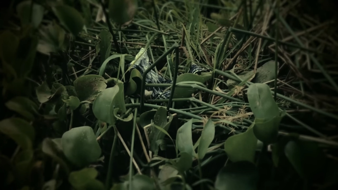 Screenshot-You-Tube.jpg