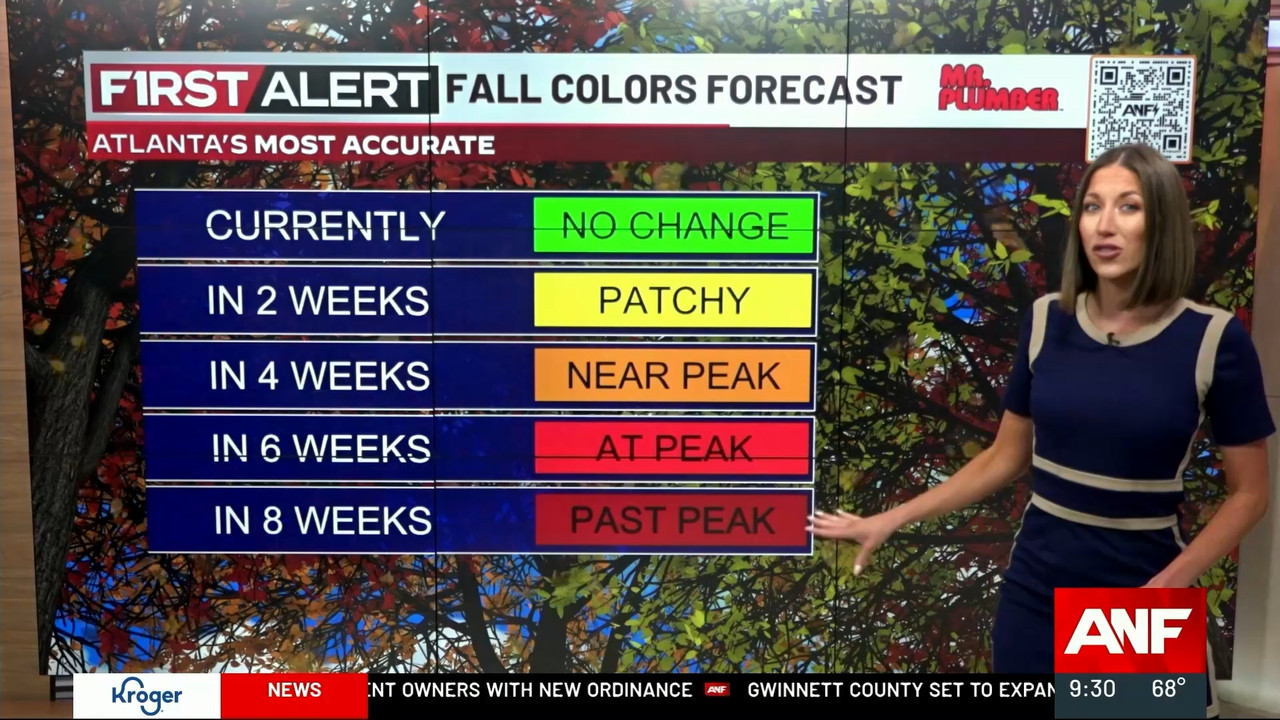 Atlanta News First at 9am_20230921_14001500.ts_snapshot_00.37.21.320