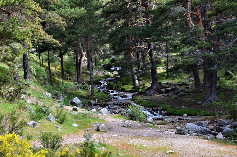 RUTA VALLE DE LA BARRANCA-6-6-2013-MADRID - Paseando por España-1991/2017 (6)