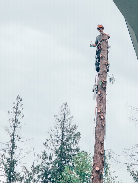 !cid_7D3F10FA-2021-4917-8FB4-12A19073BF9D-L0-001