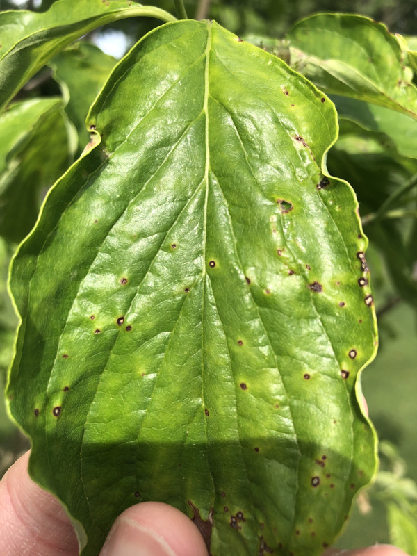 2CBDB581-EE54-40AA-9F73-F405ABAC324D