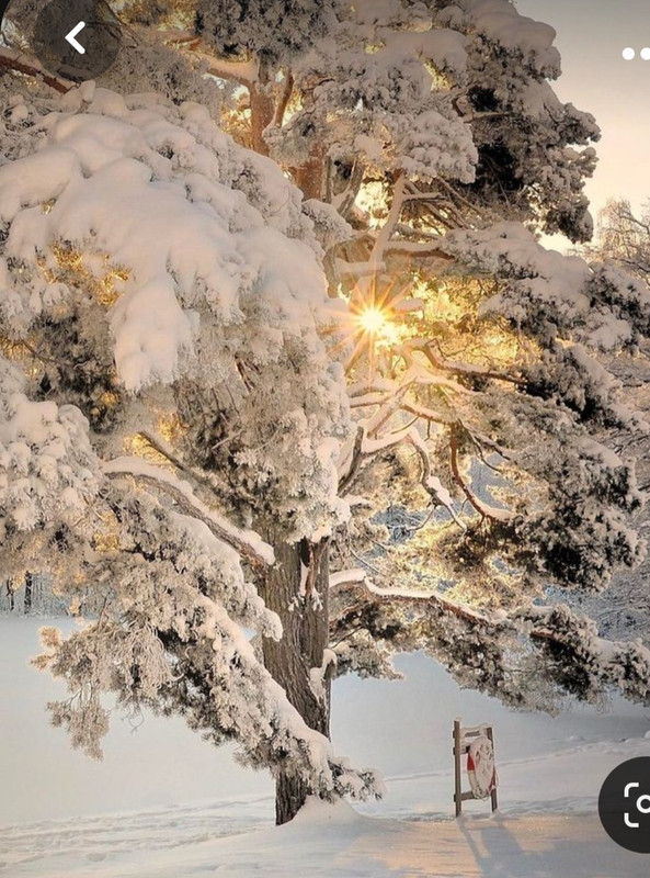 Screenshot_20231017_201605_Pinterest