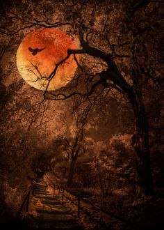 Fall-Moon-Bird