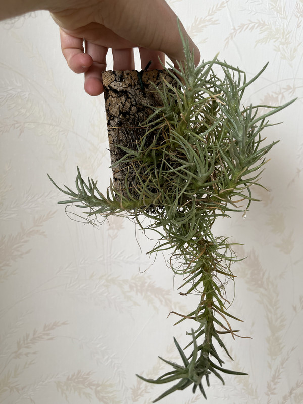 FE5FCB49-72A1-4359-BFE4-1D89C836081B