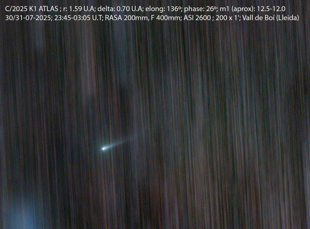 C2025K1_20250731_DID m