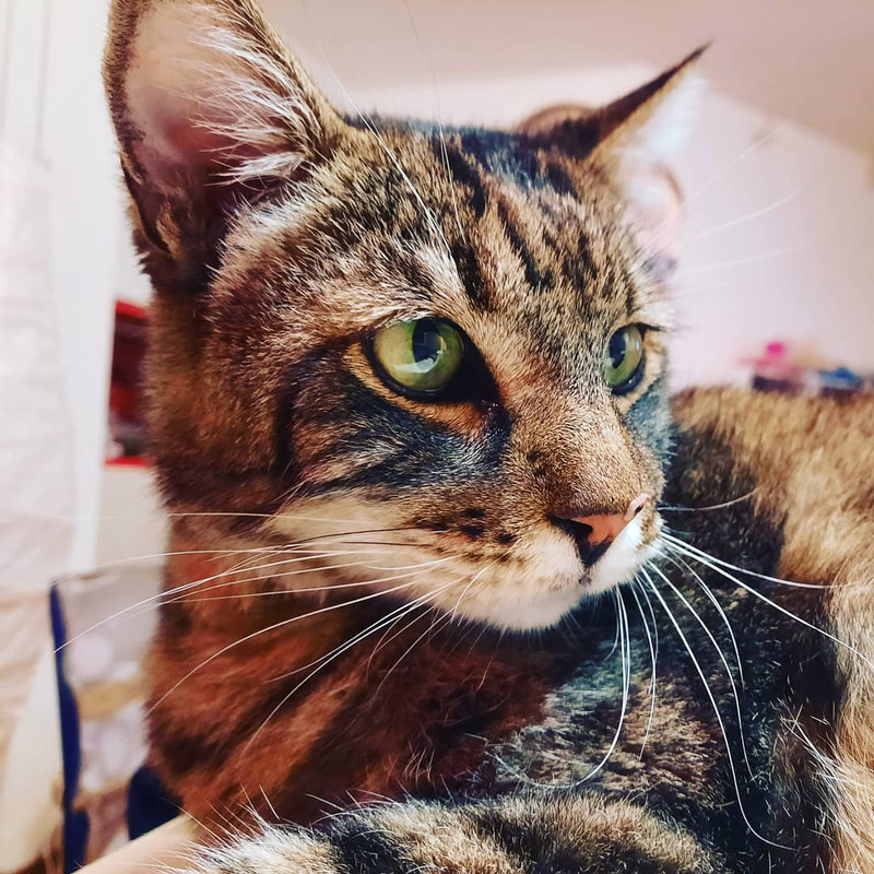 IMG_20210222_091830_569