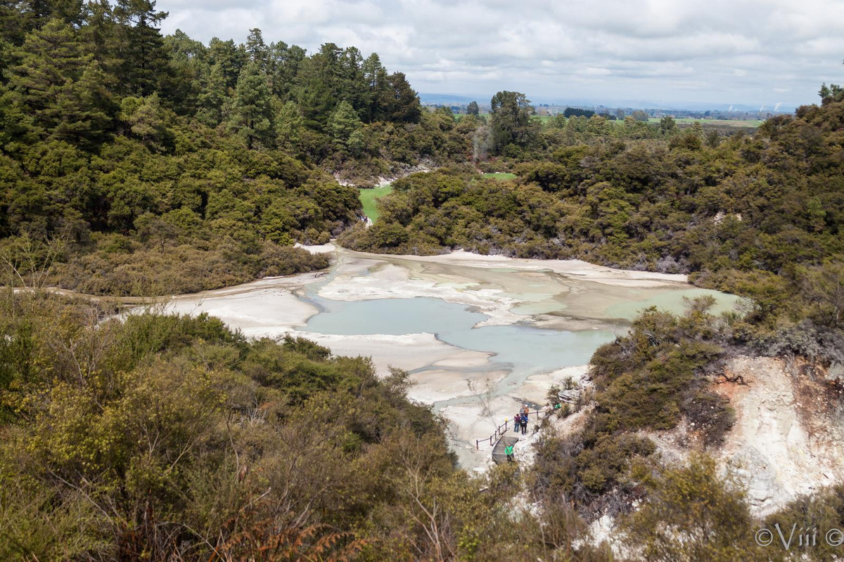 Día 3. Wai O Tapu & lago Taupo. Noche en PN Tongariro - Nueva Zelanda/Islas Cook - Viaje de novios a la Tierra Media (3)