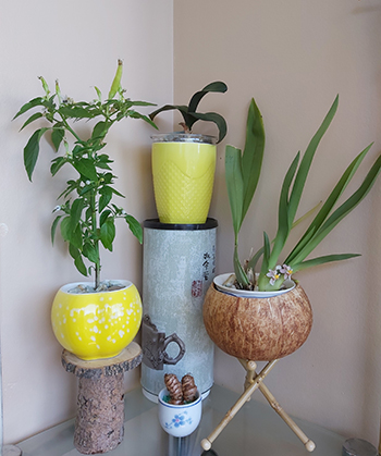 [Image: 20200616-110512.jpg]