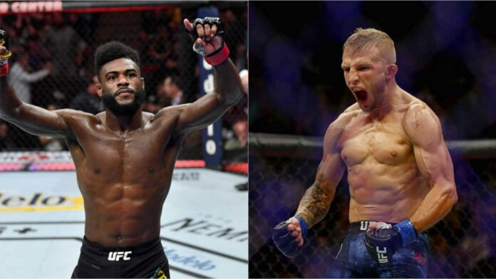 Дилашау критикува Стърлинг: Страх го е да се бие