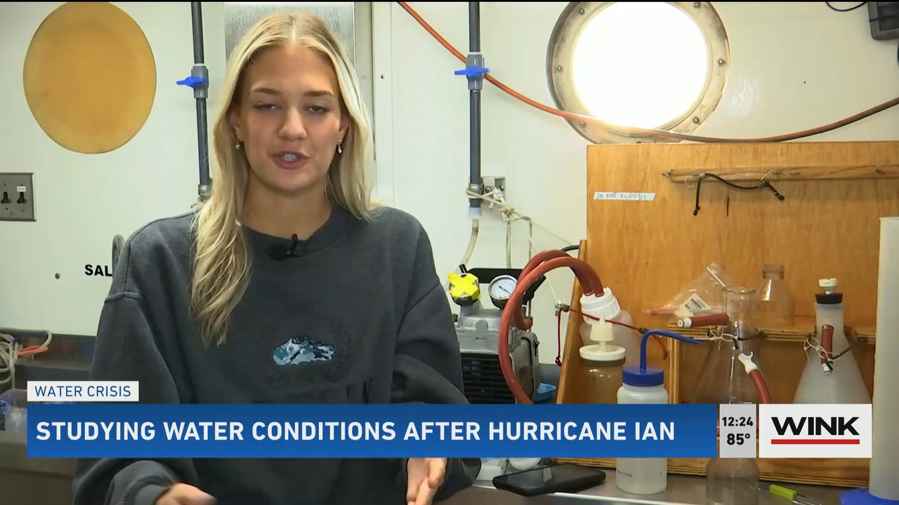 10.24 - 17.00.00 - The WINK Noon News  ᴺᵉʷ. Midday news update..ts_snapshot_31.02.728