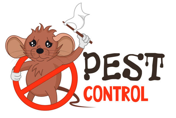 rodent-control-10.jpg