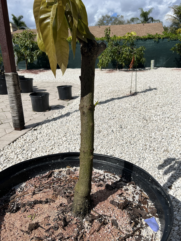 F4DF1773-7D4C-431C-BB96-4CE84BE66D2C