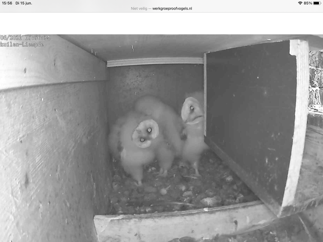 B96F4956-8460-446D-8E06-A2807AF57B0D