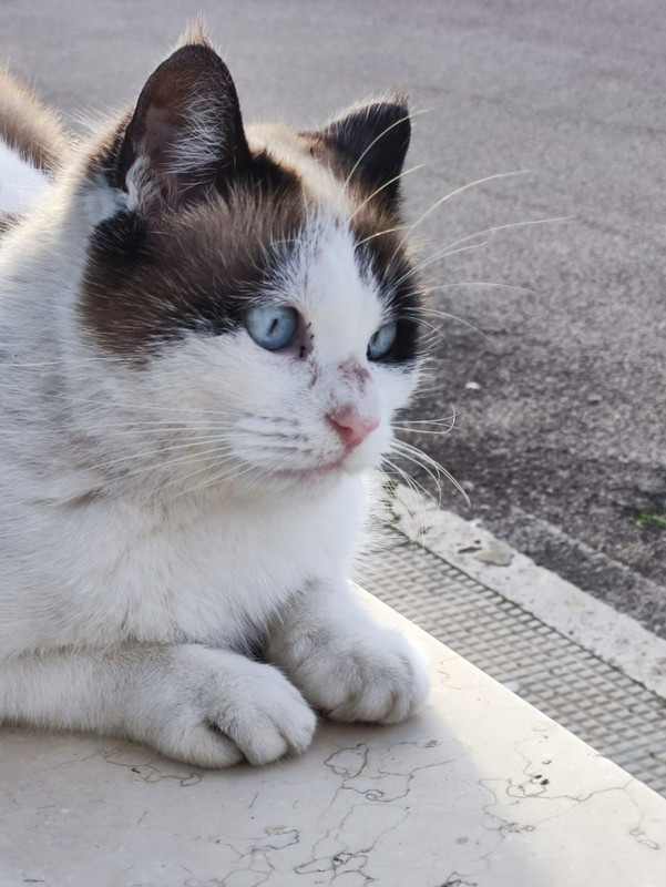 Screenshot_20230118-110103_WhatsApp