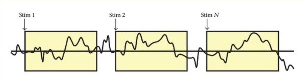 ERP timeline