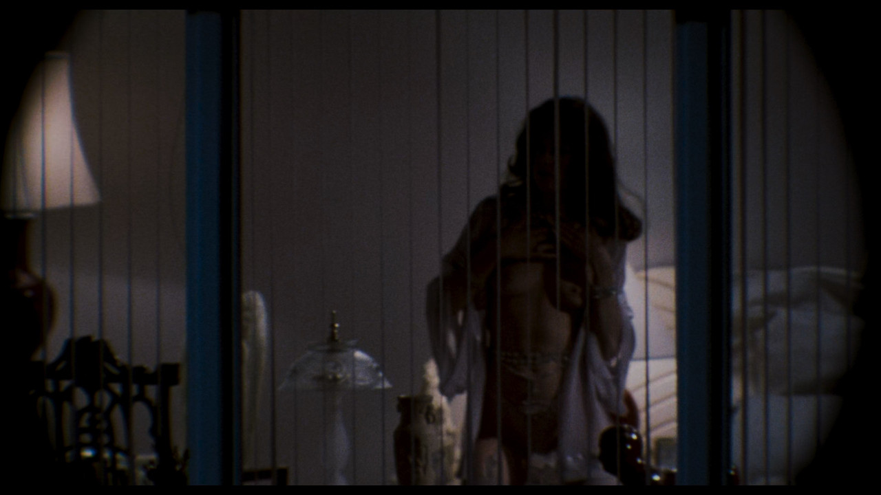 (Vietsub) Body Double 1984 2160p MA WEB-DL DTS-HD MA 5.1 HDR H265-FLUX.mkv_snapshot_00.22.17.137