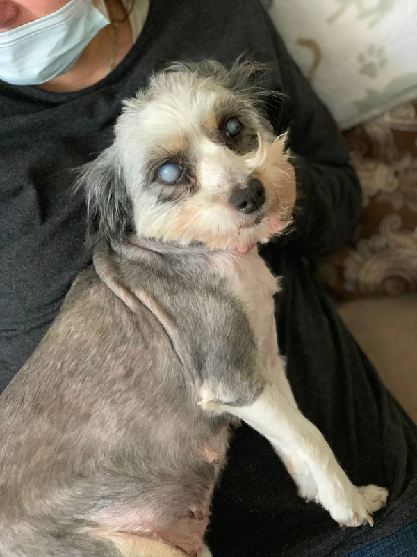 C6A66870-C850-4E13-B0B6-7817189D4D45