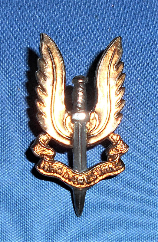 Metal SAS beret badge DSCN3993