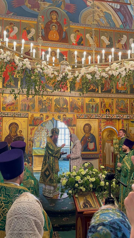 photo-5348229122956064474-y