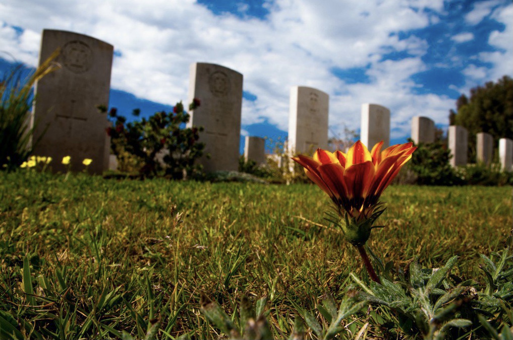 E0984483-308B-40A2-9484-EDABD0CF40F1