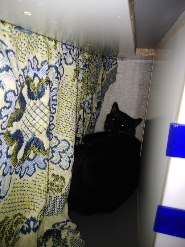 89F9F53F-AA2B-4D81-94F2-2FC47424B110