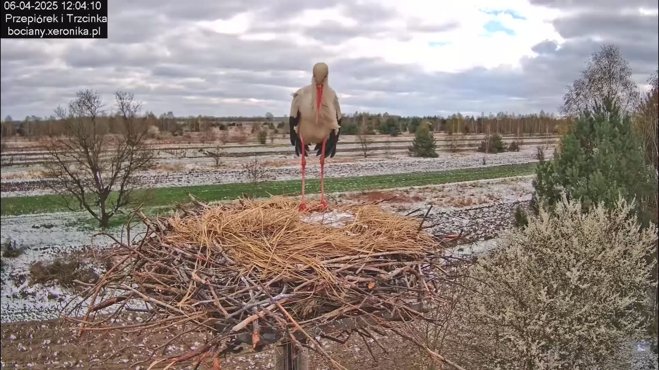 06042025minutazbocianem_17