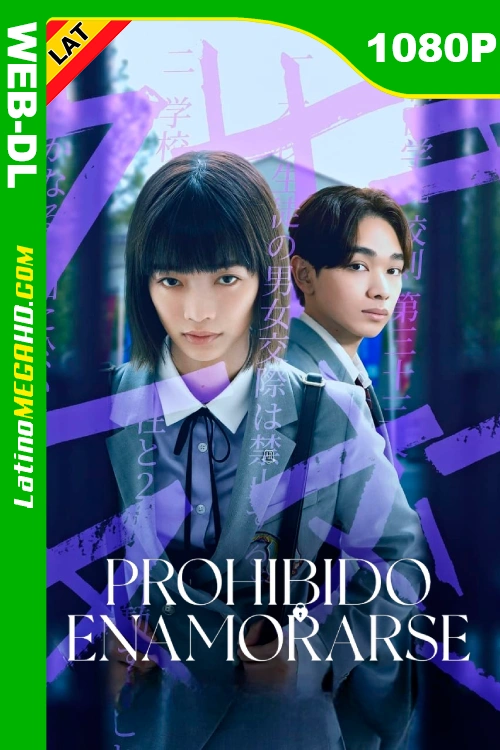Prohibido enamorarse (Serie) Temporada 1 (2024) Latino HD NF WEB-DL 1080P