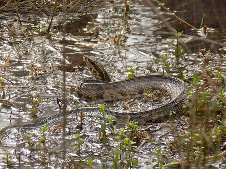 FB_IMG_1502405839125