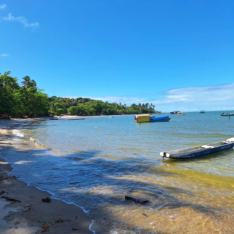 Praia paradisíaca de Moreré com vista do manguezal e águas cristalinas